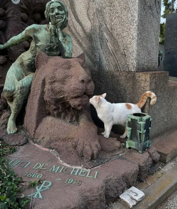 Looking In The Lion’s Mouth