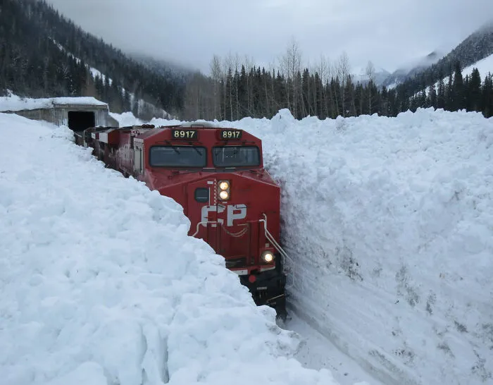 Tren pasando entre la nieve