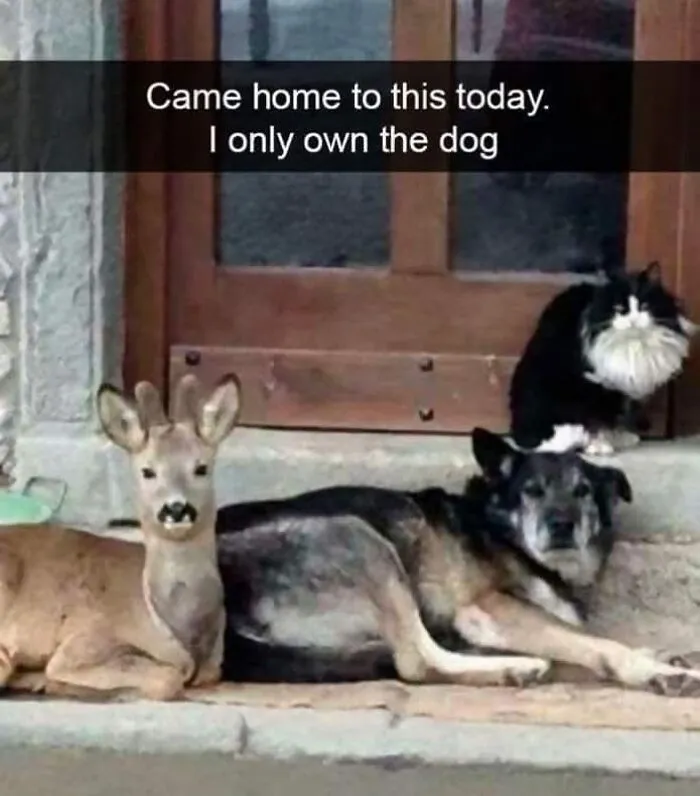 50 Posts That Are So Hilarious You Might Want To Share Them With Your Friends