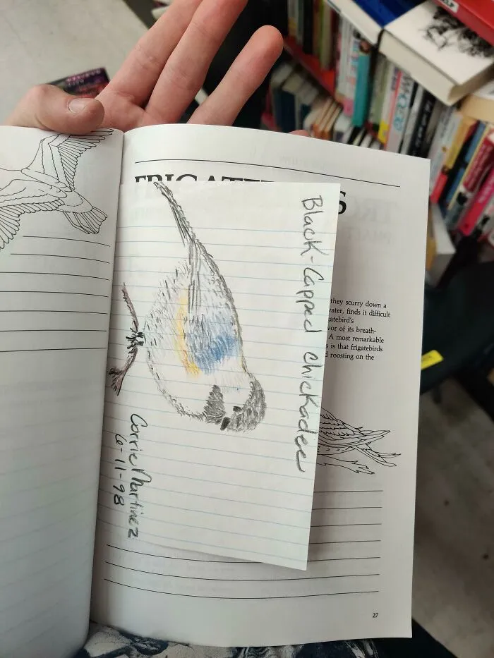 Found In A Second Hand Birdwatchers Book