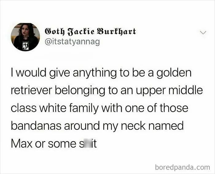 50 Of The Best Memes From "Middle Class Fancy" (New Pics)