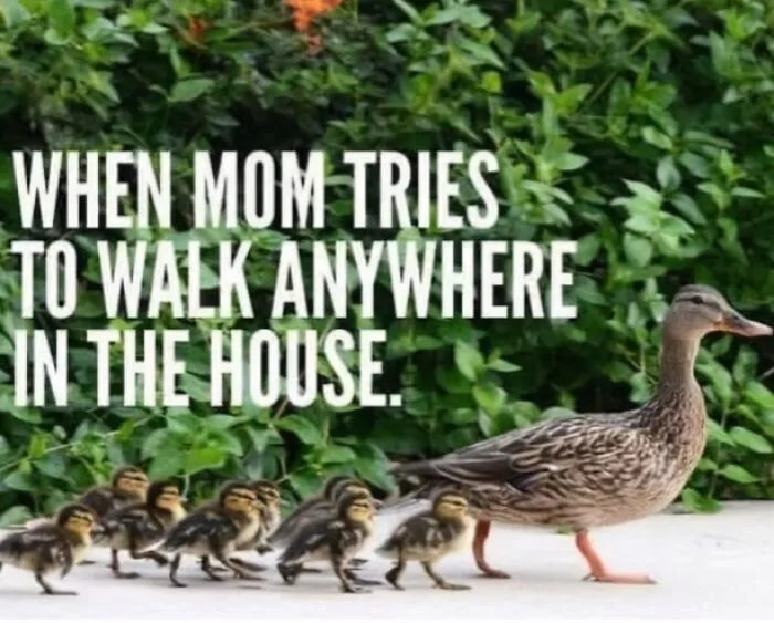 30 Mom Memes That Prove Every Mom Is One Spilled Drink Away From Losing It