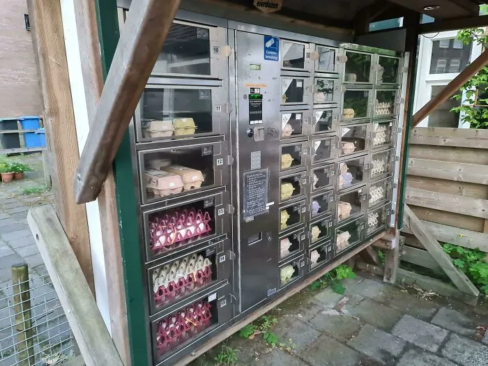 Máquina expendedora de huevos en la calle, un detalle ingenioso de la vida cotidiana en diversos países.