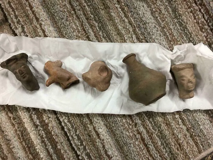 Found In The Yard Of My Old House (Agra, India)