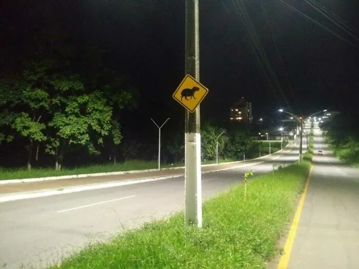 Señal de advertencia con armadillo en una carretera iluminada por la noche, detalle ingenioso en la vida cotidiana.