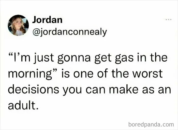 50 Of The Best Memes From "Middle Class Fancy" (New Pics)