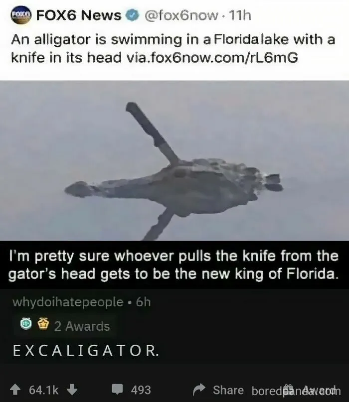 Florida Man Strikes Again!