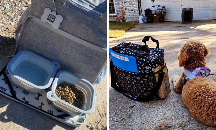 Dog Outings Just Got A Whole Lot Easier Thanks To This <a Style="Display:inline;" Href="Https://Www.amazon.com/Mobile-Dog-Gear-Collapsible-Requirements/Dp/B0bmf3x1jd?ie=utf8&th=1&linkcode=ll1&tag=bpsheep-20&linkid=b22e17e4589904a6bebb63bd96a3fc16&language=en_us&ref_=as_li_ss_tl" Target="_blank"><span Style="Font: Inherit; Color: #d74b1f"> Mobile Dog Gear</Span> Because It Means You Can Ditch The Bulky Bags, Keep Your Pup Happy, And Support A Small Business All At Once!