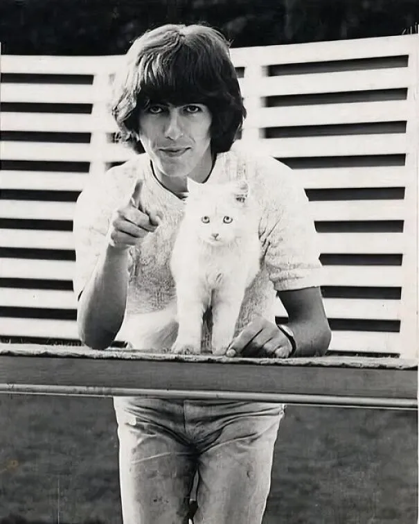 George Harrison con su gato