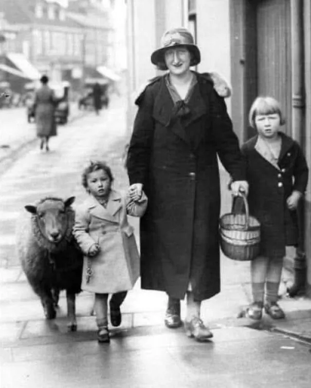 In March 1936, A Mother From Alton, Hampshire, Captured The Spirit Of Rural British Life In A Simple Yet Enduring Scene: Walking To The Shops With Her Children And A Pet Sheep In Tow