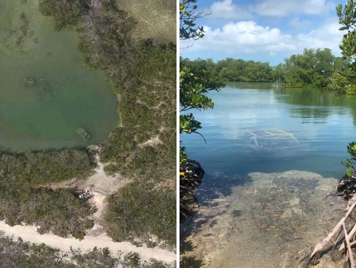 Found A Sunken Jeep Near Key West, Fl Via Google Maps. So A Friend Of Mine Went To Check It Out In Person