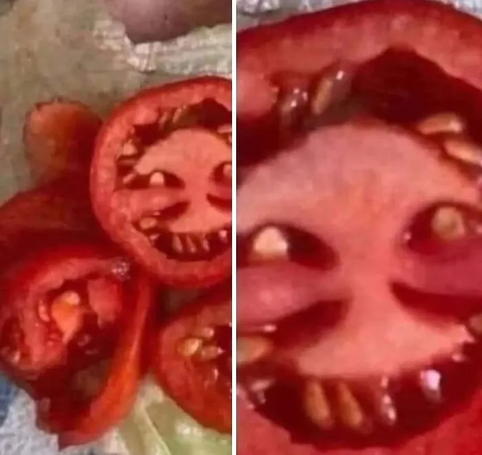 20 Memes salvajes sobre comida caótica que te dejarán sin palabras