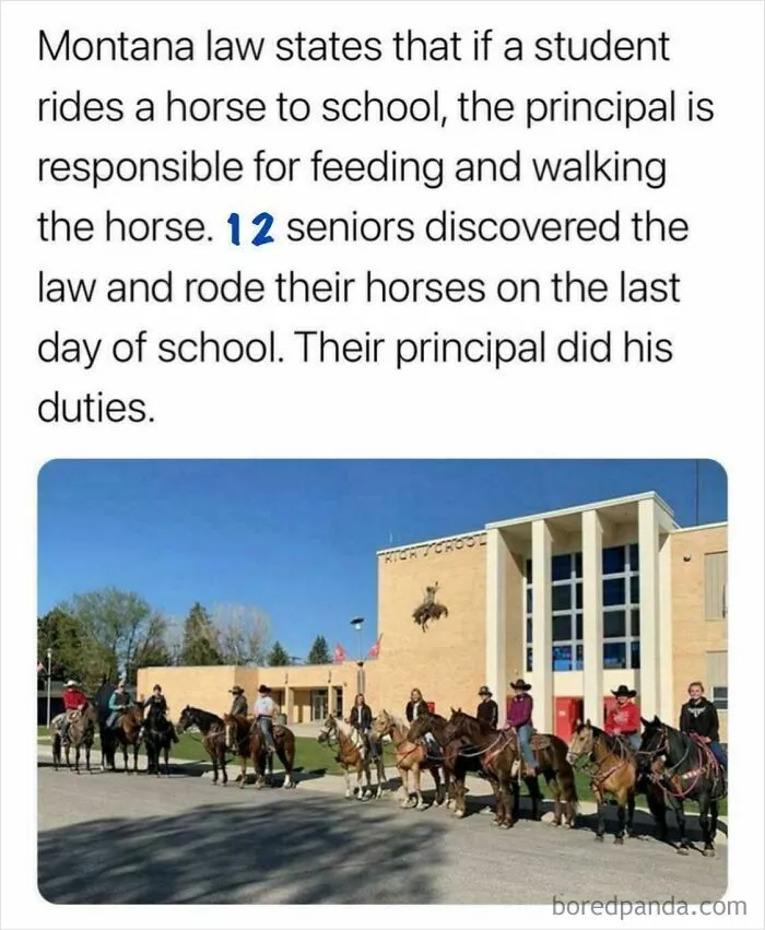Seniors Be Wildin’
