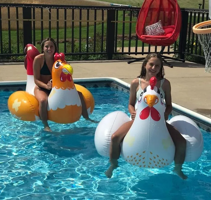 Fowl Play Has Officially Taken Over Your Pool Parties With These Hilariously Adorable <a Style="Display:inline;" Href="Https://Www.amazon.com/Chicken-Fight-Inflatable-Pool-Float/Dp/B07qjw6b9w?ie=utf8&linkcode=ll1&tag=bparmadillo-20&linkid=a357cd4133e45b7dc0533c48fdf5bfbe&language=en_us&ref_=as_li_ss_tl" Target="_blank"><span Style="Font: Inherit; Color: #d74b1f;"> Chicken Fight Pool Floaties </Span> That Will Crack You Up