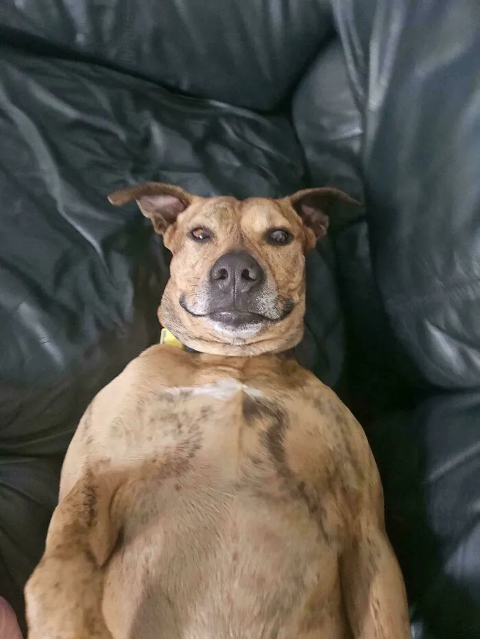 My Friend's Derp, Marco, In His Glory