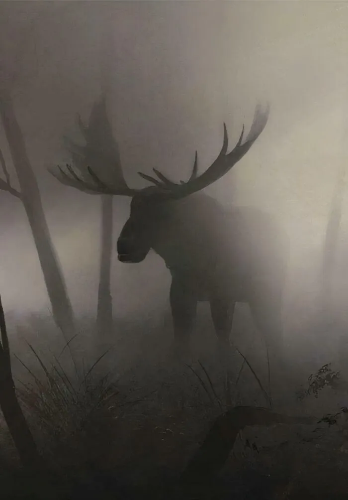 Alce en la niebla