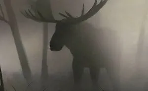 “Oddly Terrifying”: 50 Of The Most Unnerving Images That Feel Like A Glitch In Reality (New Pics)