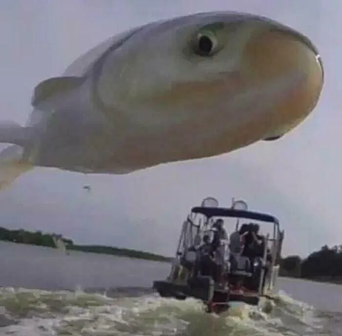 Cuando te salta un pez frente a la cámara