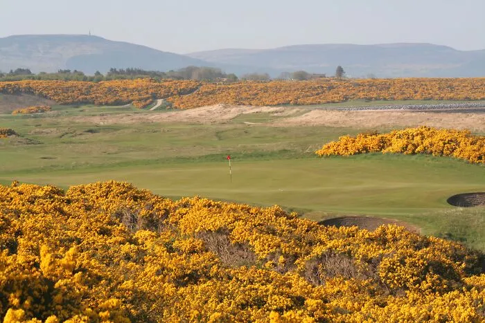 Royal Dornoch Golf Club, Scotland