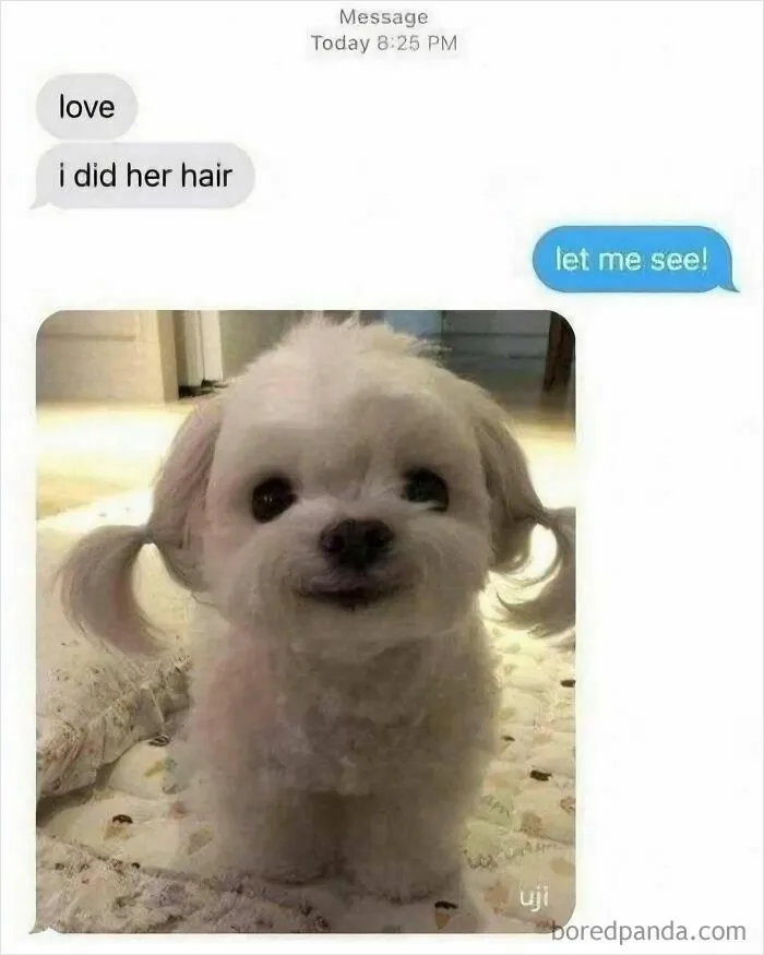 50 Memes That Made The Internet Laugh And Might Make You Chuckle Too