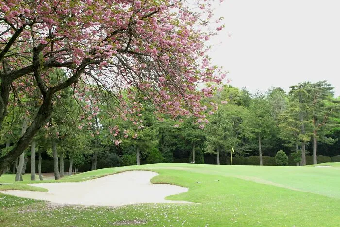 Murasaki Country Club Sumire Course, Japan