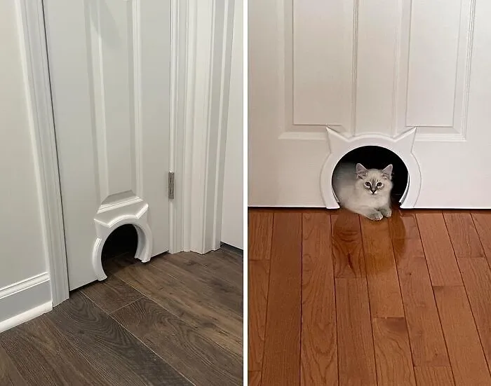  Thanks To This <a Style="Display:inline;" Href="Https://Www.amazon.com/Kitty-Pass-Interior-Hidden-Litter/Dp/B017kxn7dg?ie=utf8&th=1&linkcode=ll1&tag=bporangutan-20&linkid=c218595f826898b5b8743eb9535f8b6f&language=en_us&ref_=as_li_ss_tl" Target="_blank"><span Style="Font:inherit;color:#d74b1f;"> Cat Door</Span>, His Wife's Cat Is No Longer His Problem