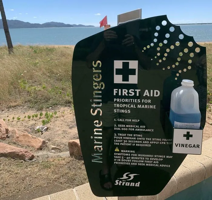 Esta botella de vinagre es el primer auxilio oficial para picaduras de medusas en una playa de Australia.