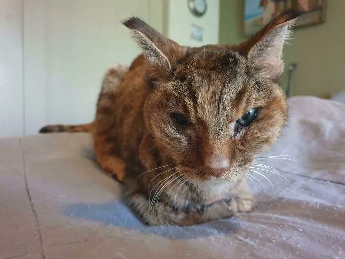 My Soulmate Loaf Today On Her Last Day With Us