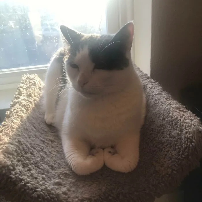 My Sister Sent Me This, “For Your Reddit”