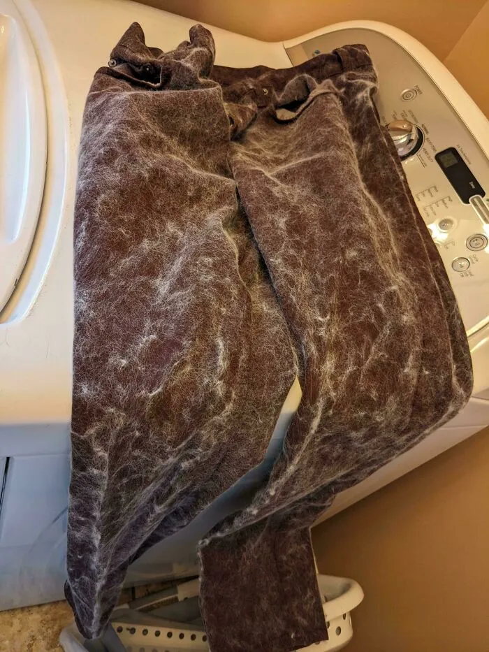 Mi esposa lavó mi nuevo par de jeans para que pudiera usarlos hoy. También puso su gran manta peluda...