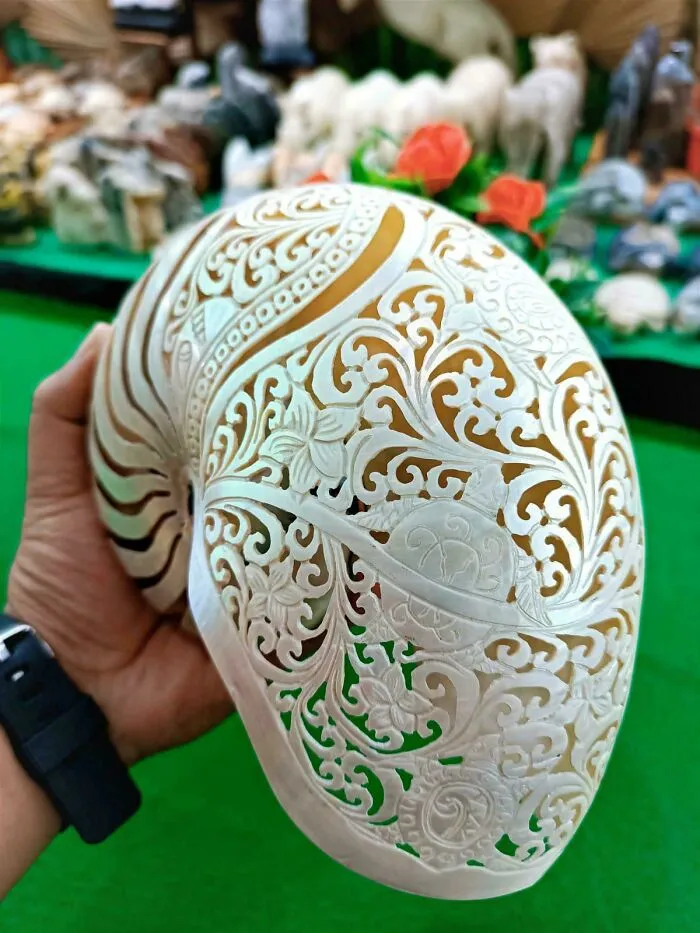 I Made A Carving On A Sea Shell