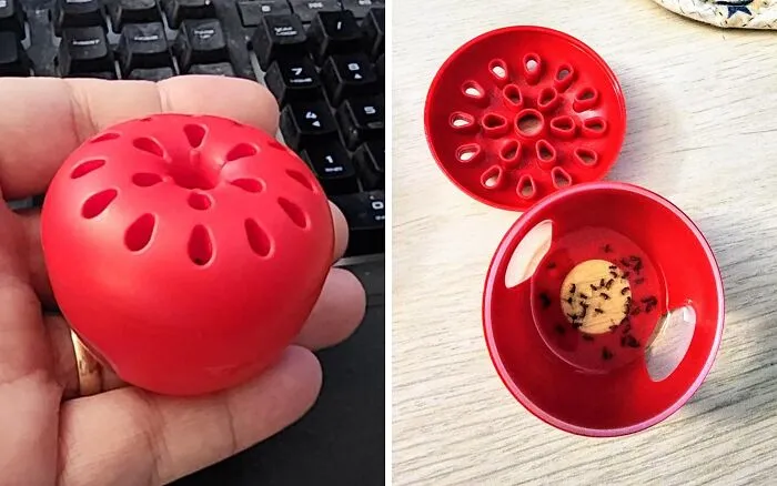 Banish Those Pesky Buzzers With The <a Style="Display:inline;" Href="Https://Www.amazon.com/Terro-Fruit-Trap-Traps-Supply/Dp/B01mrhxm0i?ie=utf8&th=1&linkcode=ll1&tag=bpapple-20&linkid=f99699dd277334aa678d681c77301193&language=en_us&ref_=as_li_ss_tl" Target="_blank"><span Style="Font: Inherit; Color: #d74b1f;"> Fruit Fly Traps</Span>, A Sweet Solution To A Sticky Situation