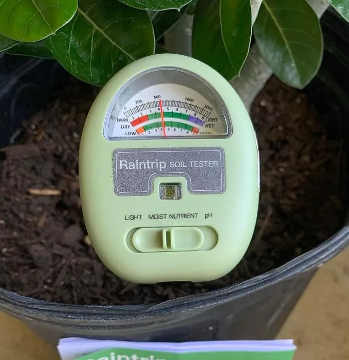 Give Your Plants The TLC They Deserve With The <a Style="Display:inline;" Href="Https://Www.amazon.com/Moisture-Nutrients-Outdoor-Battery-Required/Dp/B0bjcly3yl?ie=utf8&linkcode=ll1&tag=bpapple-20&linkid=45ae2b6f32b8593a35e9a4e8d3c9575b&language=en_us&ref_=as_li_ss_tl" Target="_blank"><span Style="Font: Inherit; Color: #d74b1f;"> Soil Moisture Meter</Span>, A Nifty Tool That Helps You Get To The Root Of Their Needs!