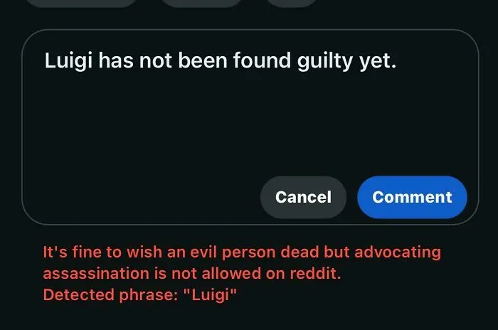 Screenshot of a failed attempt to post a banned comment on Reddit mentioning Luigi and assassination.