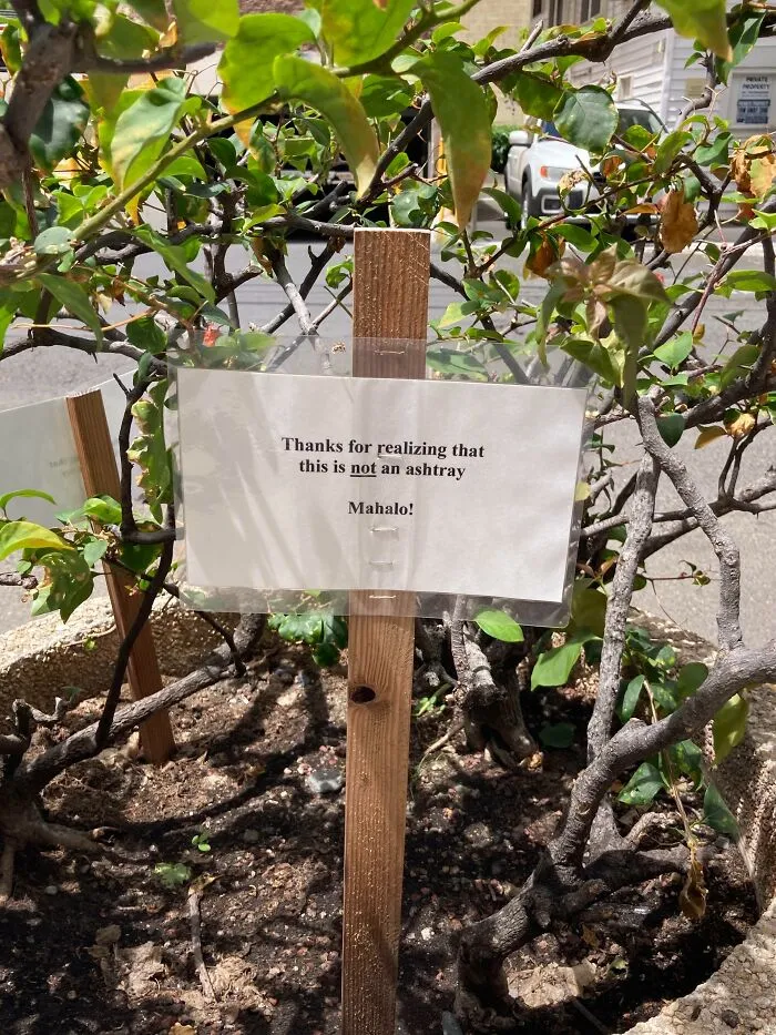 Gracias por darte cuenta de que esto no es un cenicero