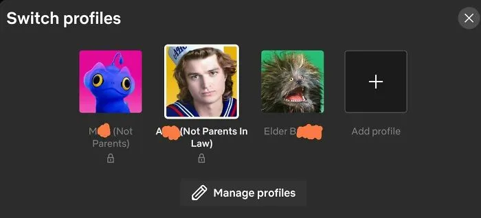 My Parents In Law Keep On Using Our Netflix To Watch He-Man And Christmas Movies, And Change Our Watchlists Because They "Struggle With Tech"