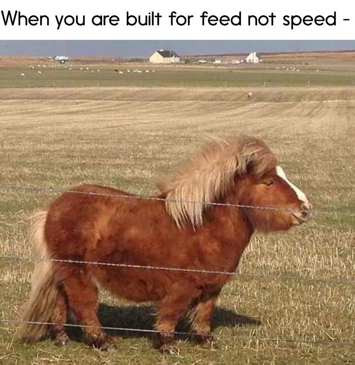 “A Meeting Without Food Should Be An Email”: 50 Funny Memes From This Dedicated Page