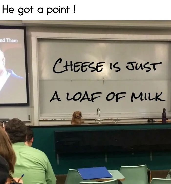 “A Meeting Without Food Should Be An Email”: 50 Funny Memes From This Dedicated Page