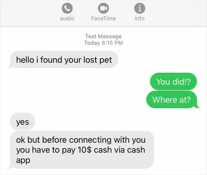 I Received A Scam Text After Posting For Help To Find My Lost Cat
