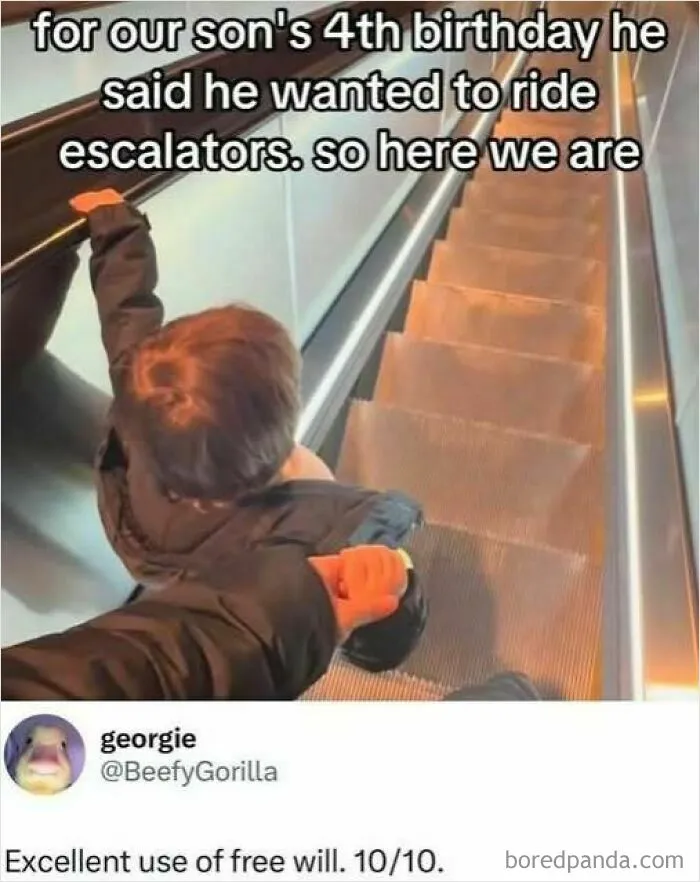 Escalator Adventures Ahead