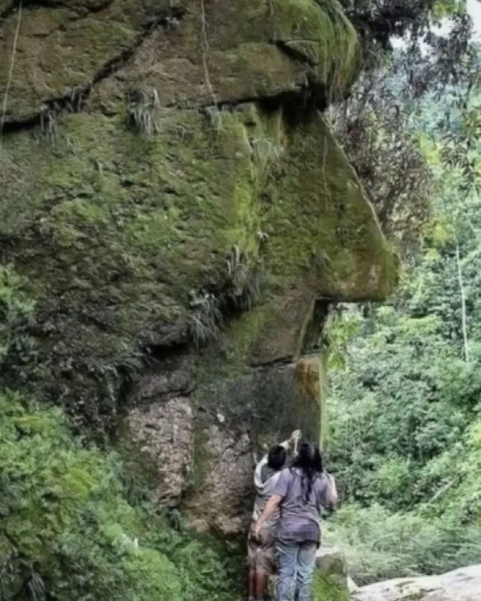 En lo más profundo de la Amazonia peruana, envuelto en niebla y misterio, yace un antiguo enigma que desafía al tiempo...