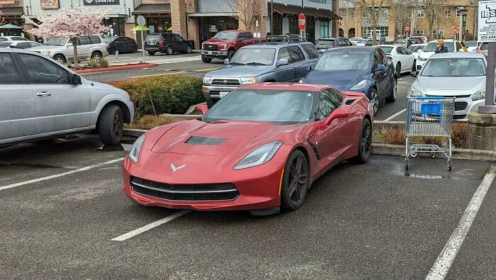 Park Like This In A Crowded Lot And Someone Is Bound To Smash A Cart Into Your Car
