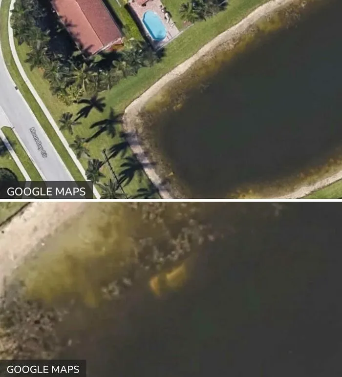 40 Year Old Man Went Missing After Night Out. 22 Years Later, A Local Man Spotted A Car In The Lake In Google Maps. When It Was Searched, The Missing Man’s Skeletal Remains Were Found