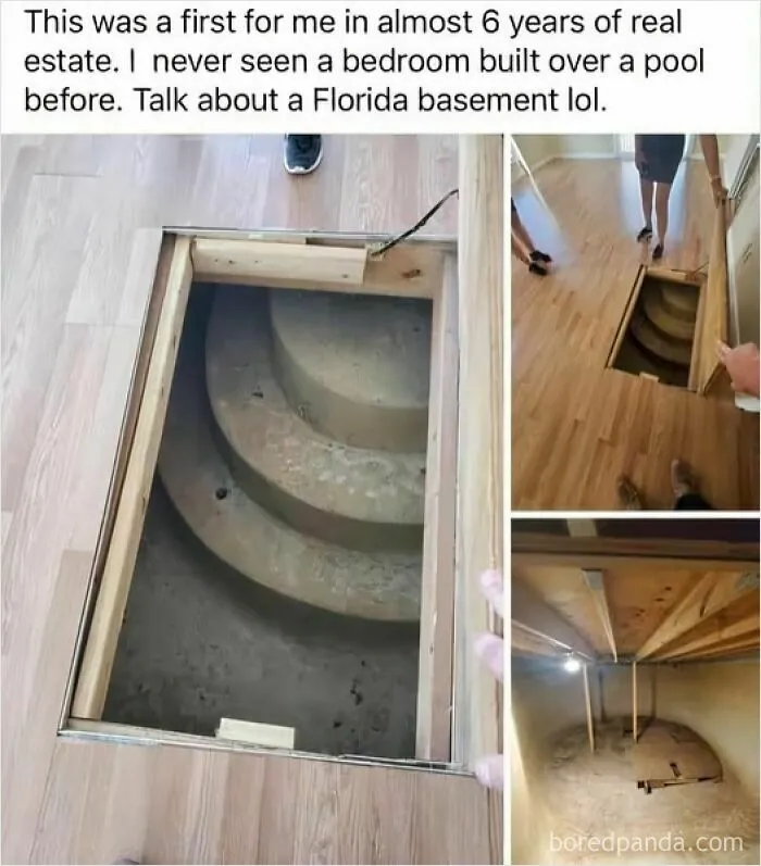 Seems Legit