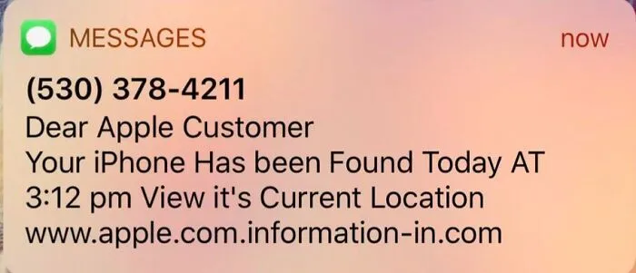 Do Not Click The Link. If Your iPhone Is Stolen And You Get A New One, This Is A Phishing Scam To Confirm Your Apple ID And Asks You To Log In So They Get Your Password