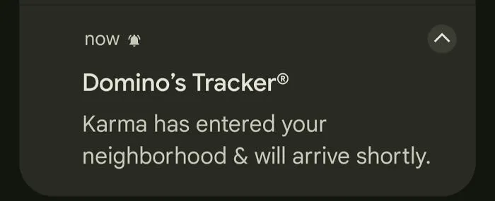 I Ordered Delivery And The Driver's Name Makes This Sound Ominous As Hell