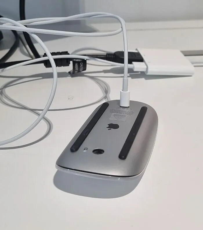 Mouse cargándose boca abajo, ejemplo de diseño que no funciona en la realidad.