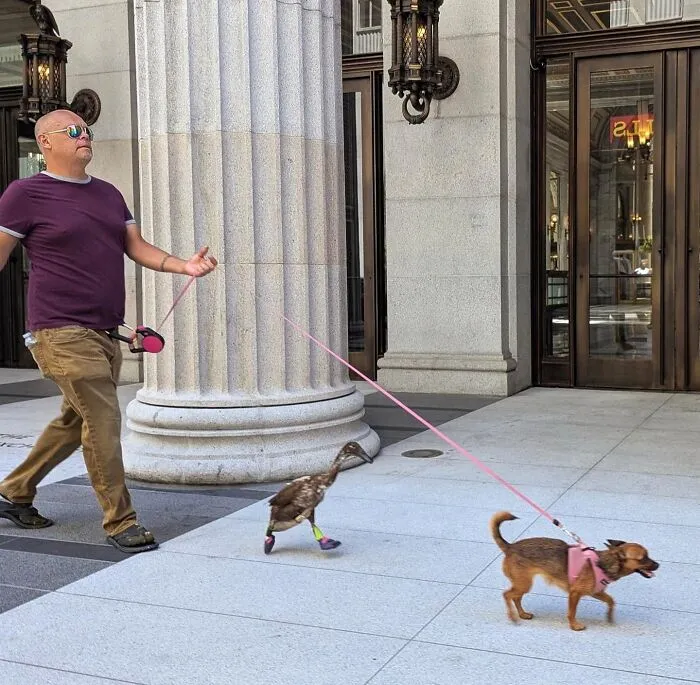 30 Stunning Photos That Showcase San Francisco’s True Spirit Through Sage Akaboshi’s Eyes