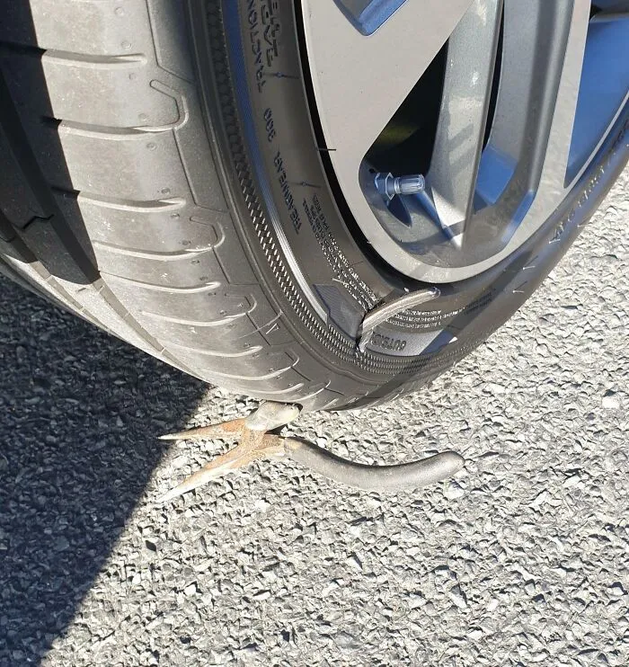 Driving My Wife's New Car (Still On The First Tank Of Gas) When This Happened