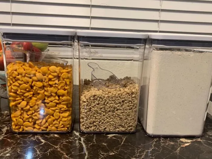 Freshness Is Sealed And Delivered With The <a Style="Display:inline;" Href="Https://Www.amazon.com/Oxo-Good-Grips-6-Piece-Container/Dp/B07tcd74st?ie=utf8&th=1&linkcode=ll1&tag=bporange-20&linkid=b0d970ee9e90ebf3f4ea8eefeddd3e3f&language=en_us&ref_=as_li_ss_tl" Target="_blank"><span Style="Font: Inherit; Color: #d74b1f;"> Airtight Food Storage Containers</Span>, Safeguarding Your Snacks And Meals From Spoilage And Keeping Them Deliciously Fresh